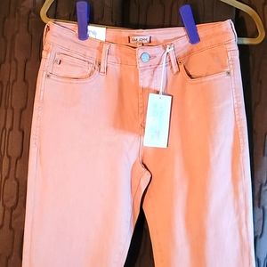 NEW with tags, Dear John, Mauve, Women's Jeans Size 27 and 28 NO holes!